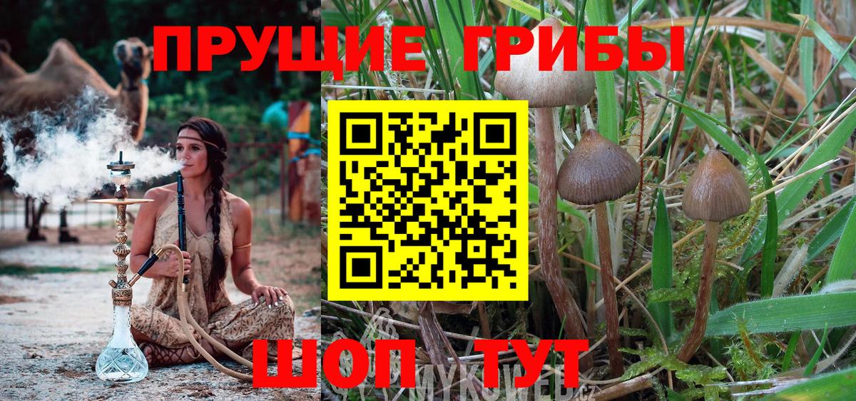Псилоцибиновые грибы мухоморы  Вход с VPN  Скопин 